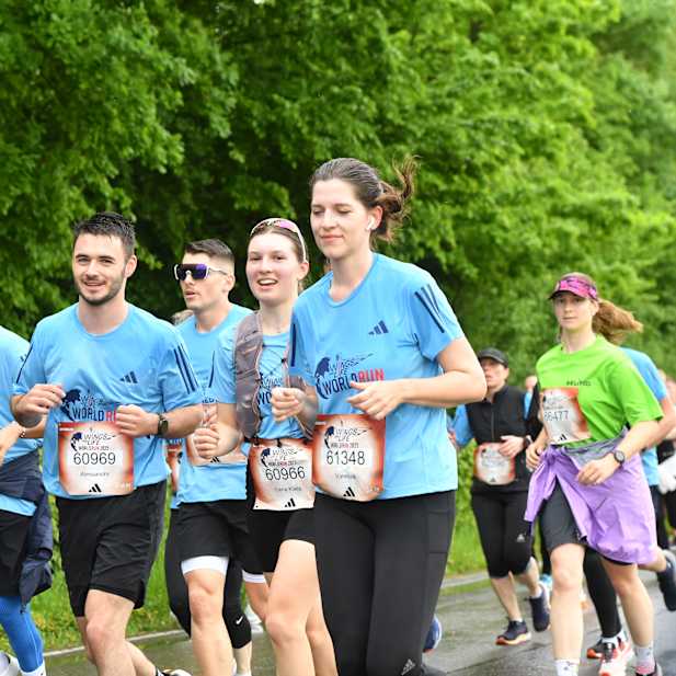 xehp6s4u32utrpx9ixz529ix