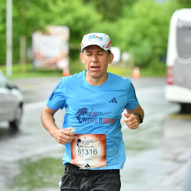 xapbnfy82hc8skkhfr1y1vl6