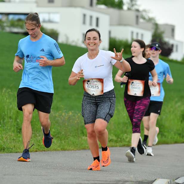 v44j8hd7g0s9hgon1ztu866k