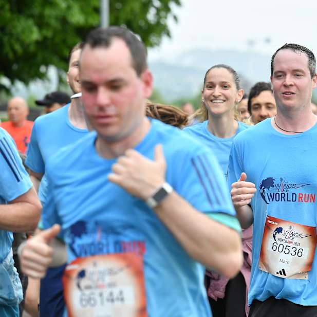 mbt4ia37b0mqdbg2zl75y1a3