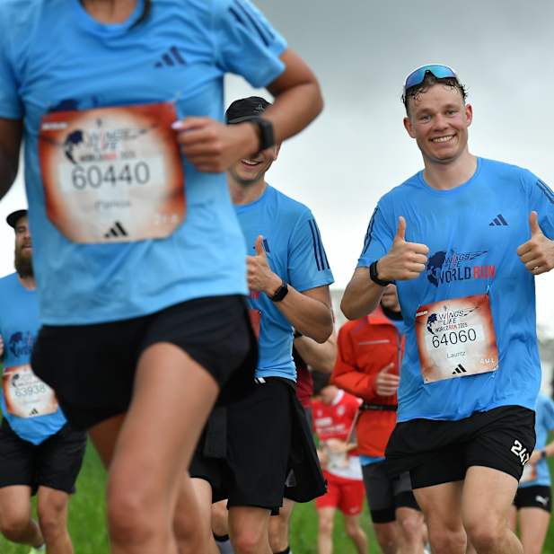 dgaop9m84l5lccg59m7g5al5