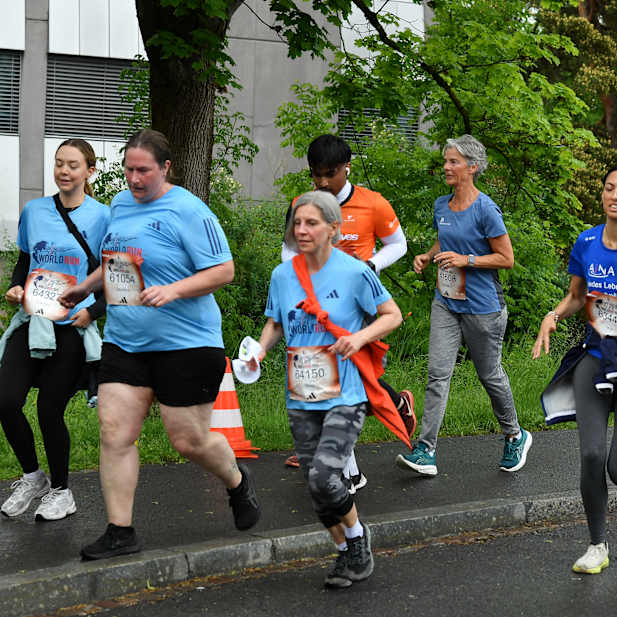 wqmw5yl1o4kuv230beltwysu