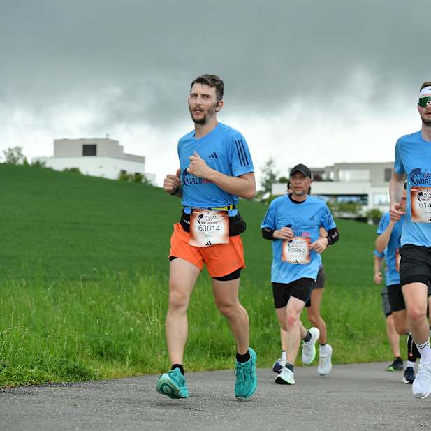 hn2i06umzkfo8qq5oee4ovqp