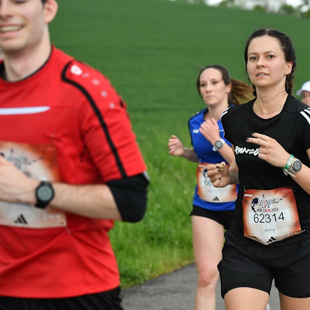 xh8v0hvcmcdqxzzlur6z8nck