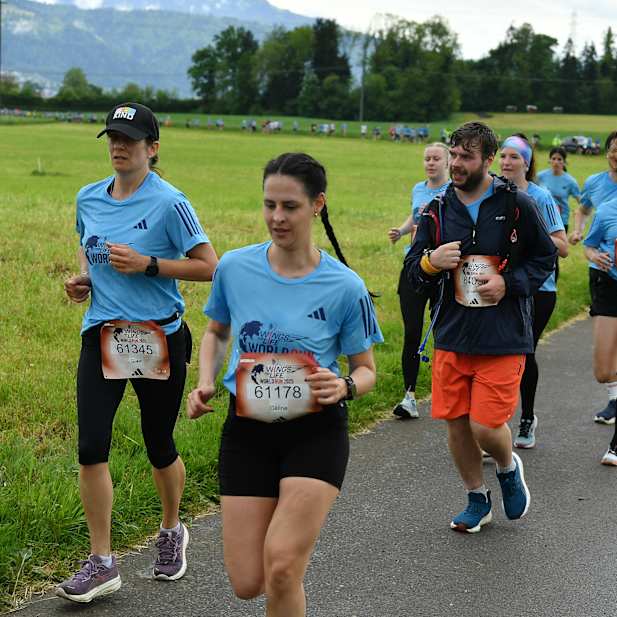 yxzjpxkldzofs17tlzhd19c1