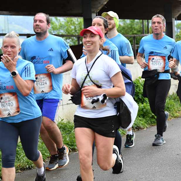 t7cmjk8fgq6l5dr7hmlfz3ll