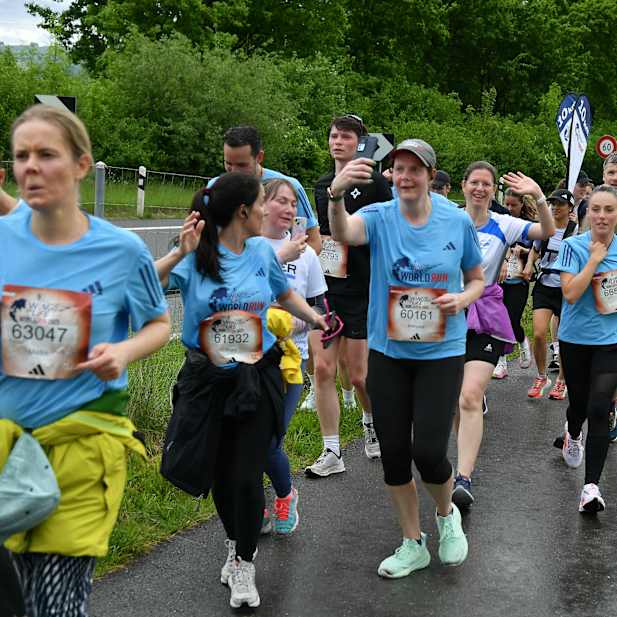 f7jttdjj8trs5cissb43m74z