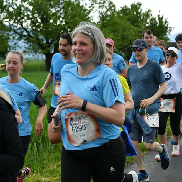 lagru1ji7ja4a7n8p3fod1g8