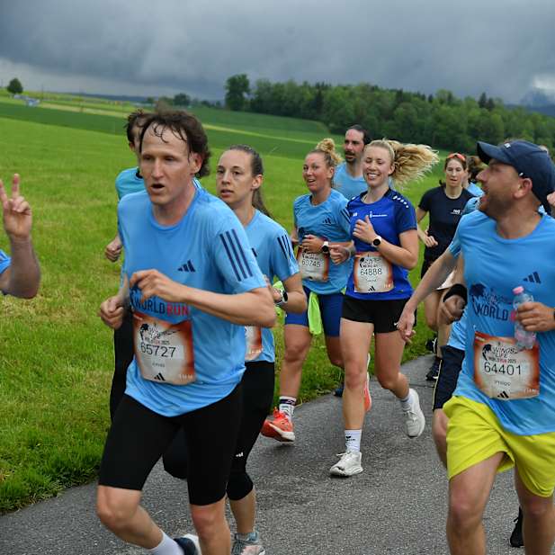 q6007ythf7vl0cva347e6iye