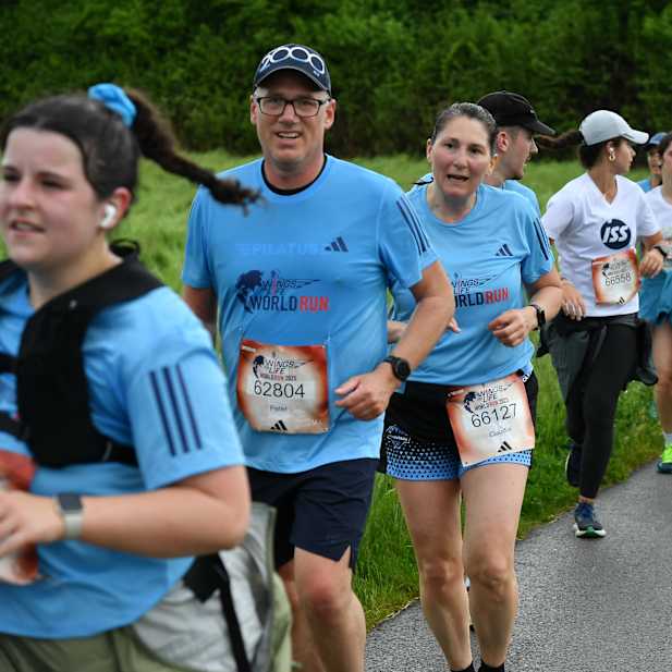 dlf0e0w84c5rdwr7xokxkuls