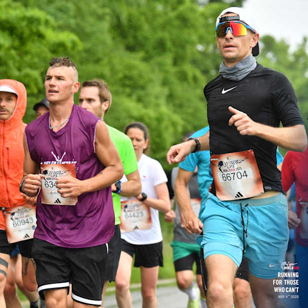 qp0soa4mgvjdf8mwb4grpm5d