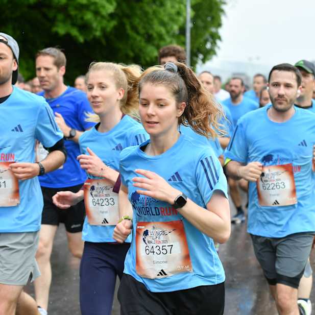 fipxpl7mgxiardi5y3k354b9