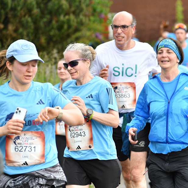 jk6uefqr40913t4iqss6u489