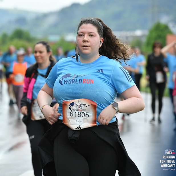 w1p4n89j1cir0wg0j0izbmds