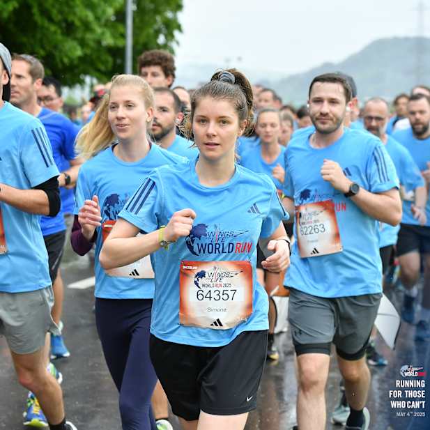 d8fja08qu0oi3hbmdrwu0v1k