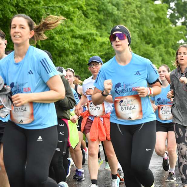 jvhq8u094oz9ll6grkosvcr6