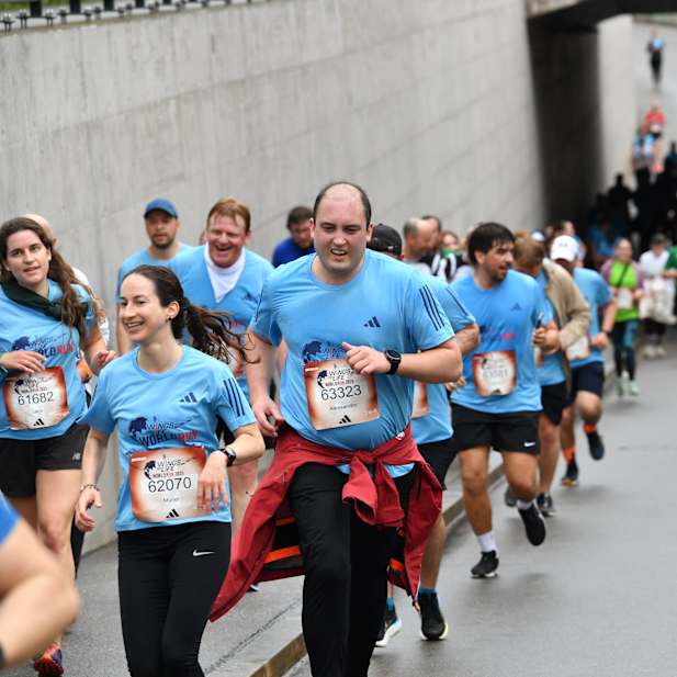 alerw1fhl4urr52ch1m84ehq