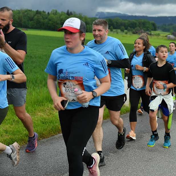 iqxet1gohx8s0wodwrec43fc