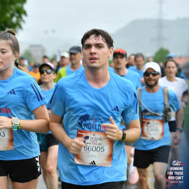 ku2bgu1gm8cfro8wvwf8f6gx