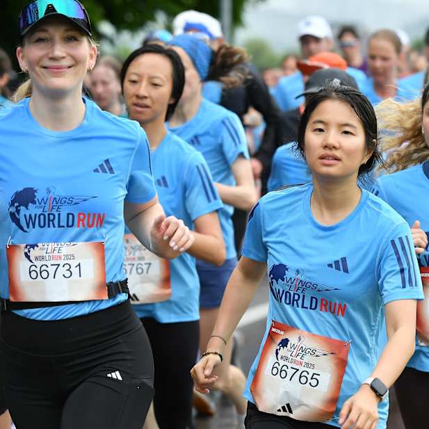 vupest3f5i8qciwwq4lxwe8t