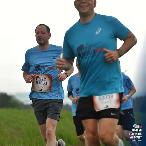 ko04yx3272h6qr5jlodbcpuf