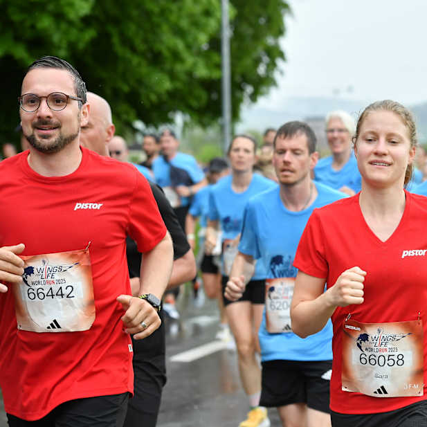 gnq2eot15oitge9mtrbk4l1t