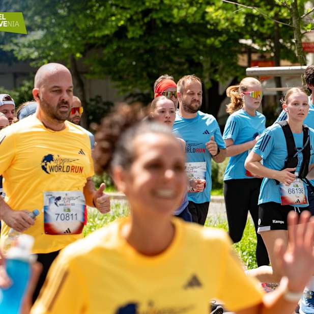 gcnlscwu88zerhxhs6rhh8gq