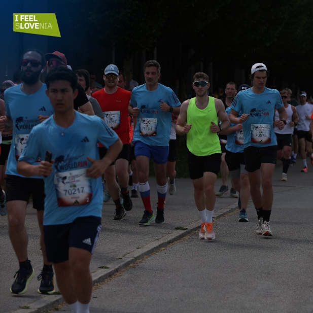 zt7a2vlwhhwpb7g08cb3kntd