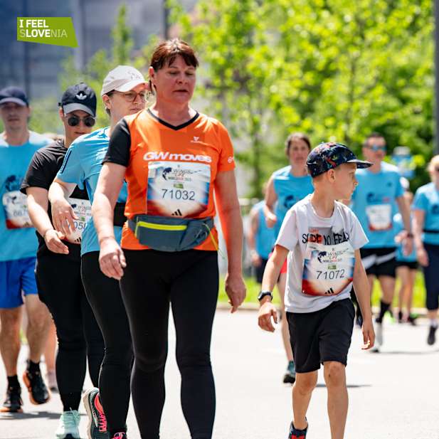 k1lb0rq50nk4zt8yt0299kou