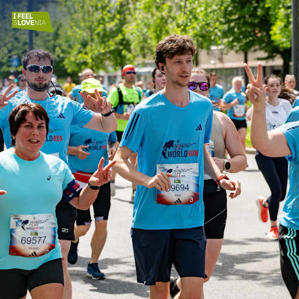 k3nuo0qxyec418koe1j8yt60