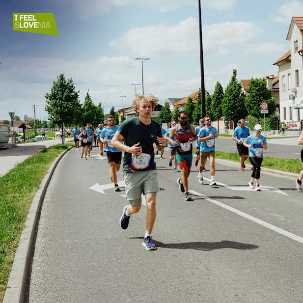 tx9t6j6bsd6hbbff0oifwqe3