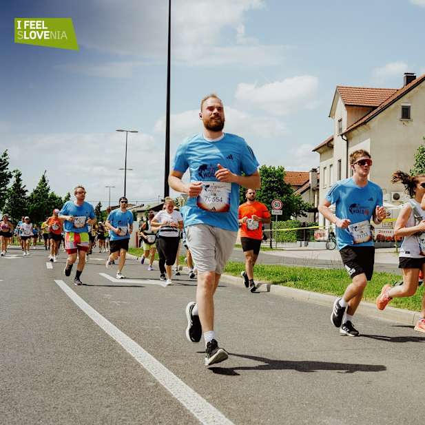 l593hxl6inq8vr6ii9ok5c7y