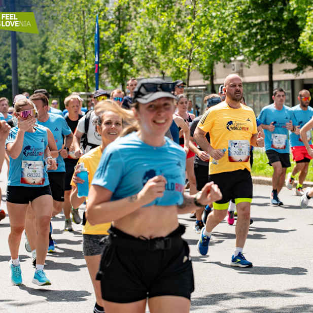 j9br096fnpwp7ktxv8ol6snb