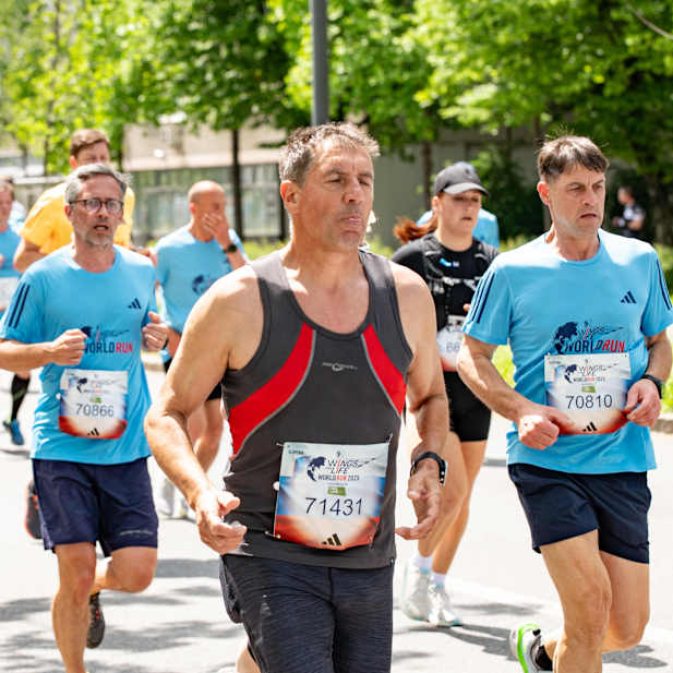 vyyee3vmyx91w70penlrn9qg