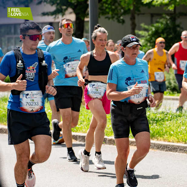 ntp3mn9wu1lqpauuud1s0o6r