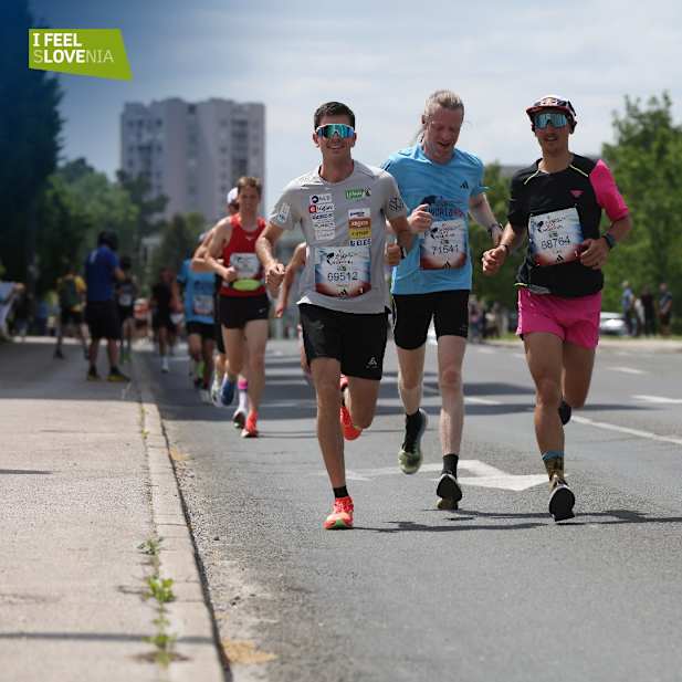 fvalfmij8ds1x668e0w4v1zu