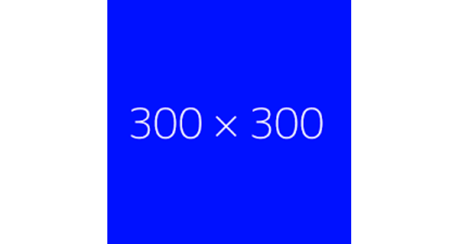 NP日付確認用商品