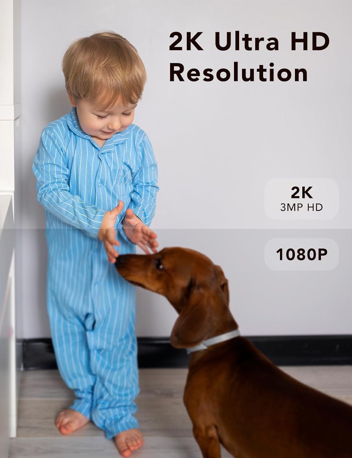2K Wired Security Camera, Indoor/Outdoor for Home, Pet, Baby, Nanny, IP65 Waterproof Color Night Vision, White Light & Siren, Recording, Motion Detection, Works with Alexa,Pulg in, Black-4P — image 6 of 7