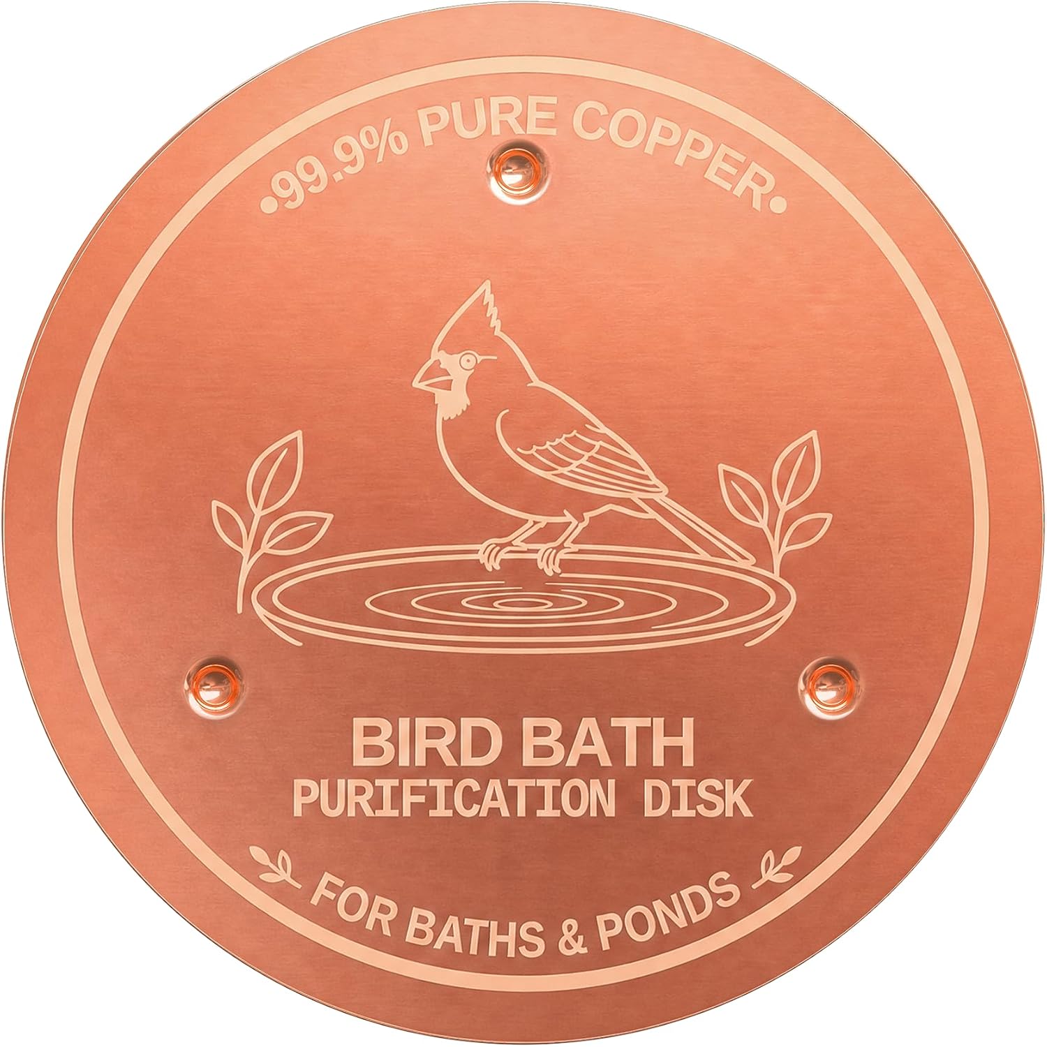 Copper Disc for Bird Bath, 99.9% Pure Copper (Cardinal)