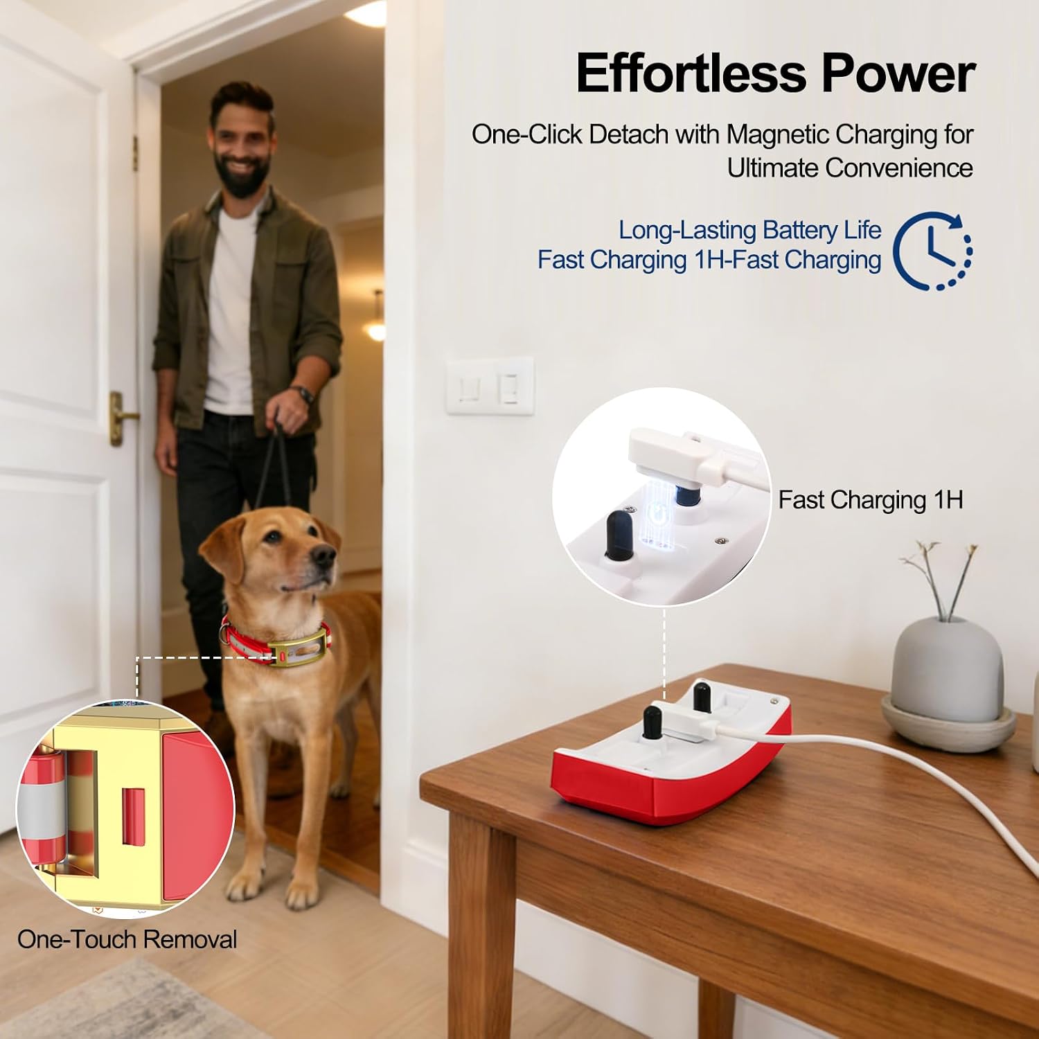 GPS Wireless Dog Fence, No Monthly Fee for Medium & Large Dogs — image 3 of 7