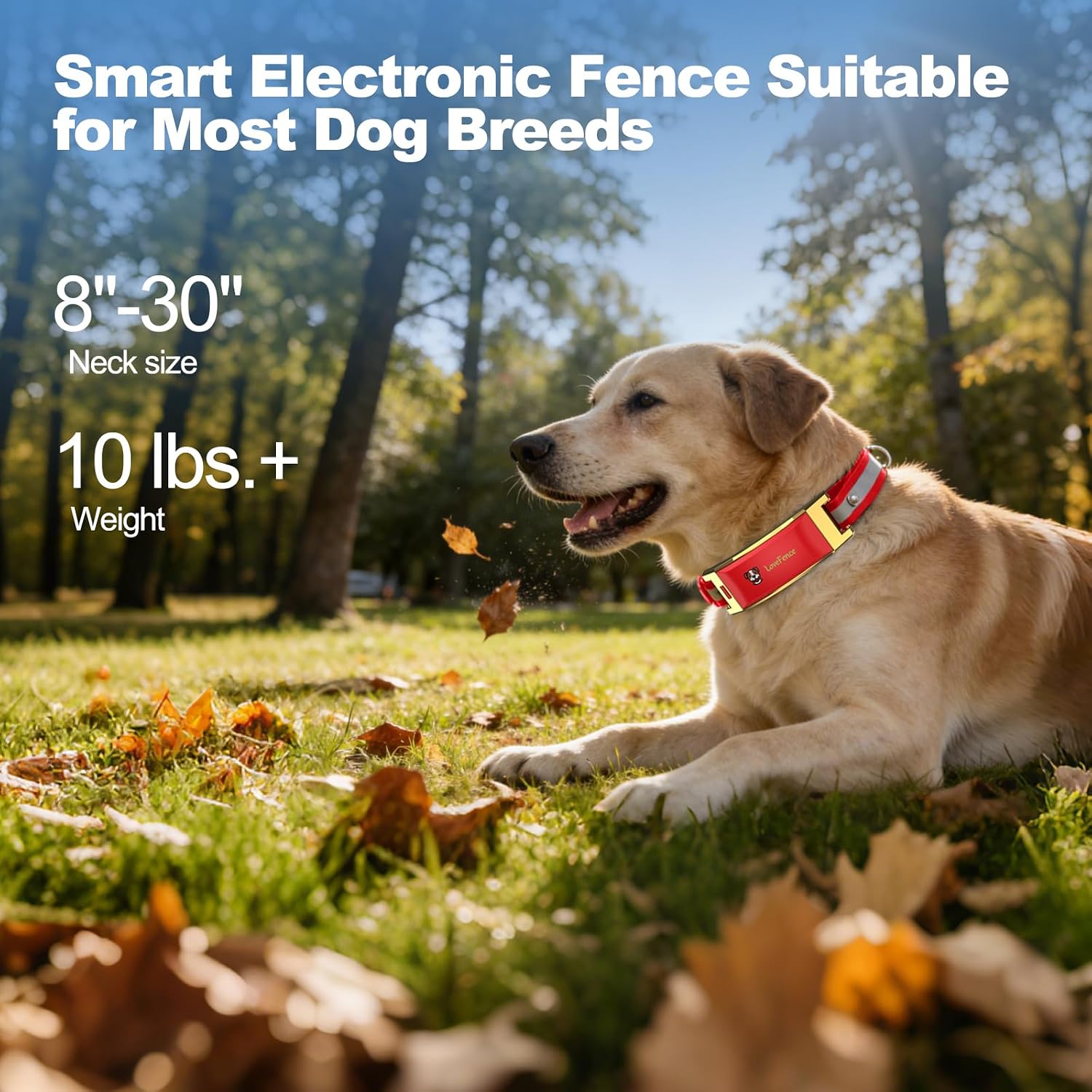 GPS Wireless Dog Fence, No Monthly Fee for Medium & Large Dogs — image 6 of 7