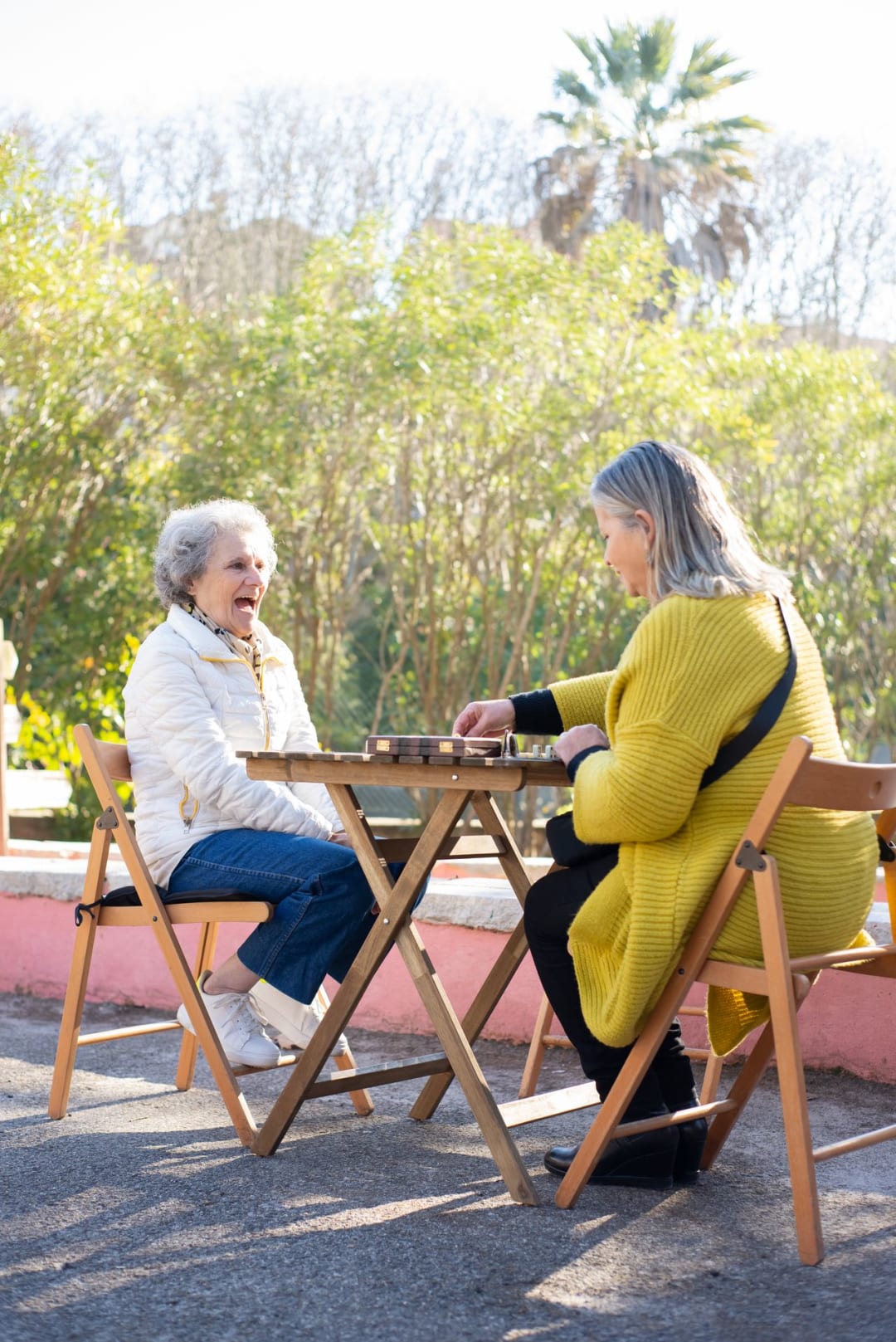 Companionship & Wellbeing