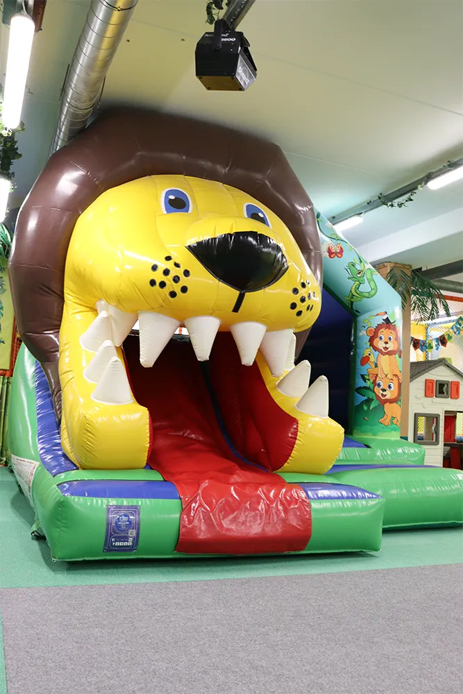 Amazona mängutuba kaanepilt