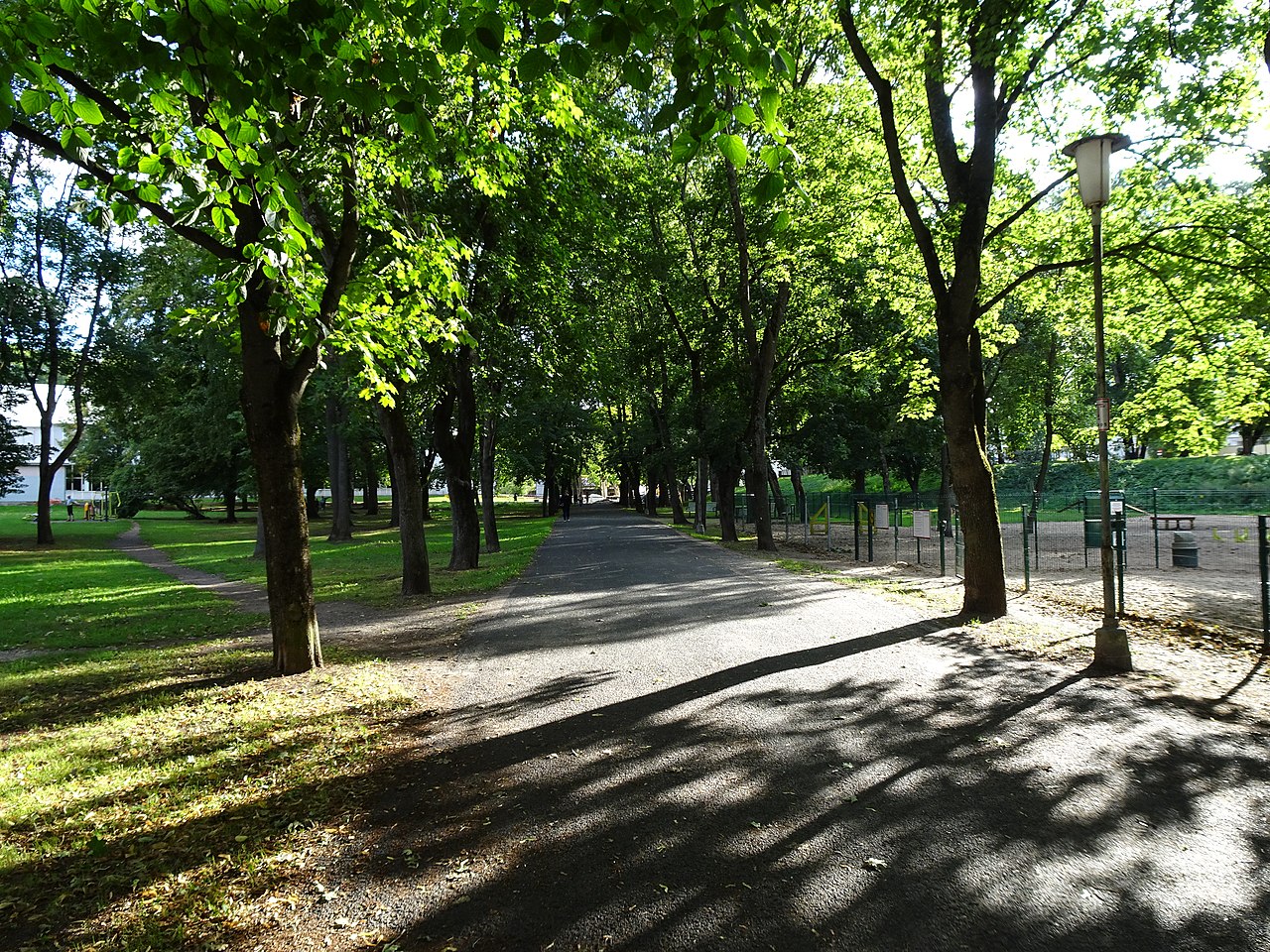 Cover image of Tiigiveski Park