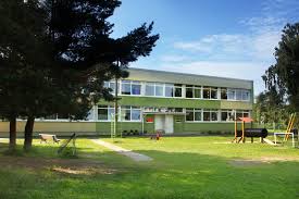 Tallinna Lasteaed Vesiroos kaanepilt