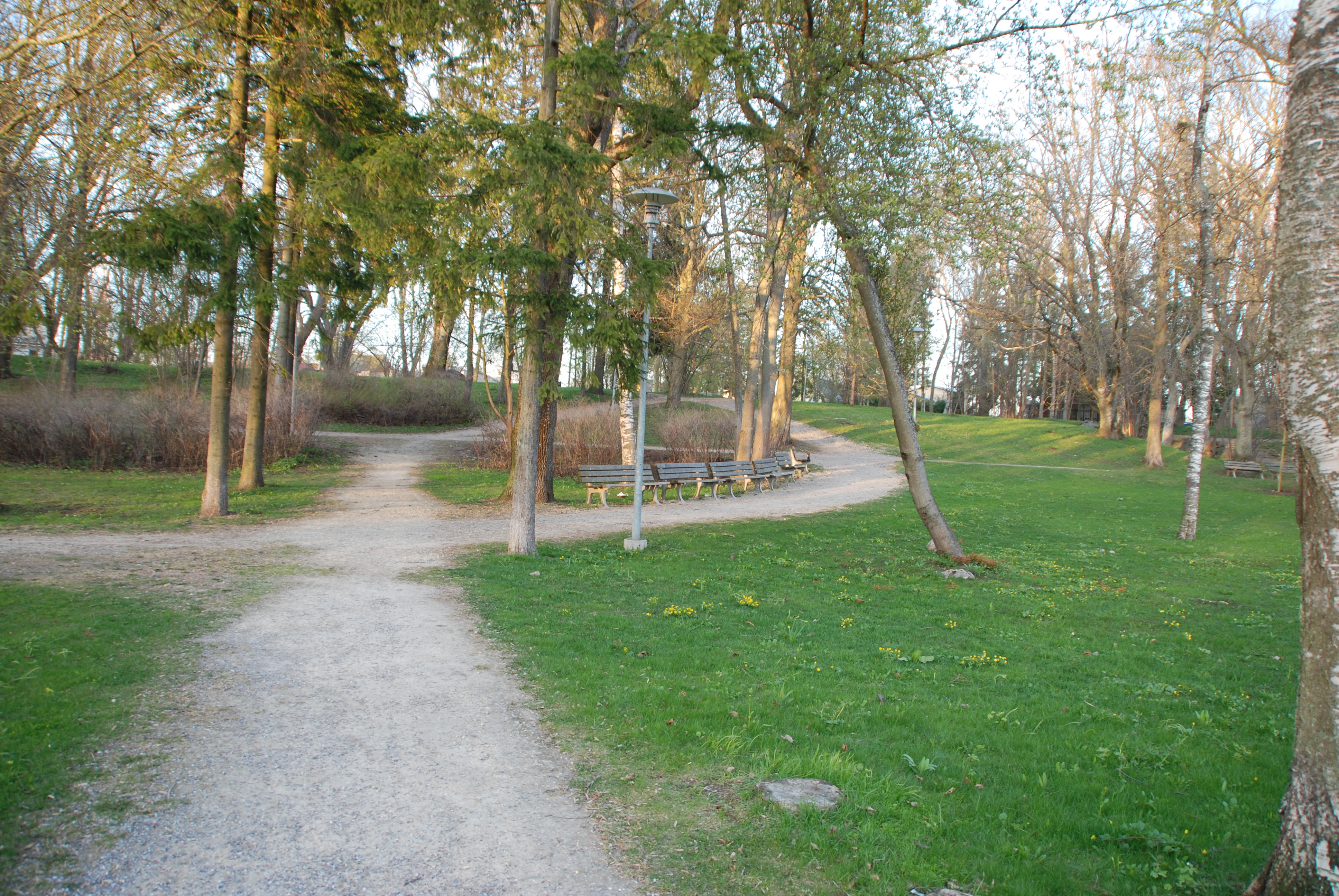 Merivälja park kaanepilt