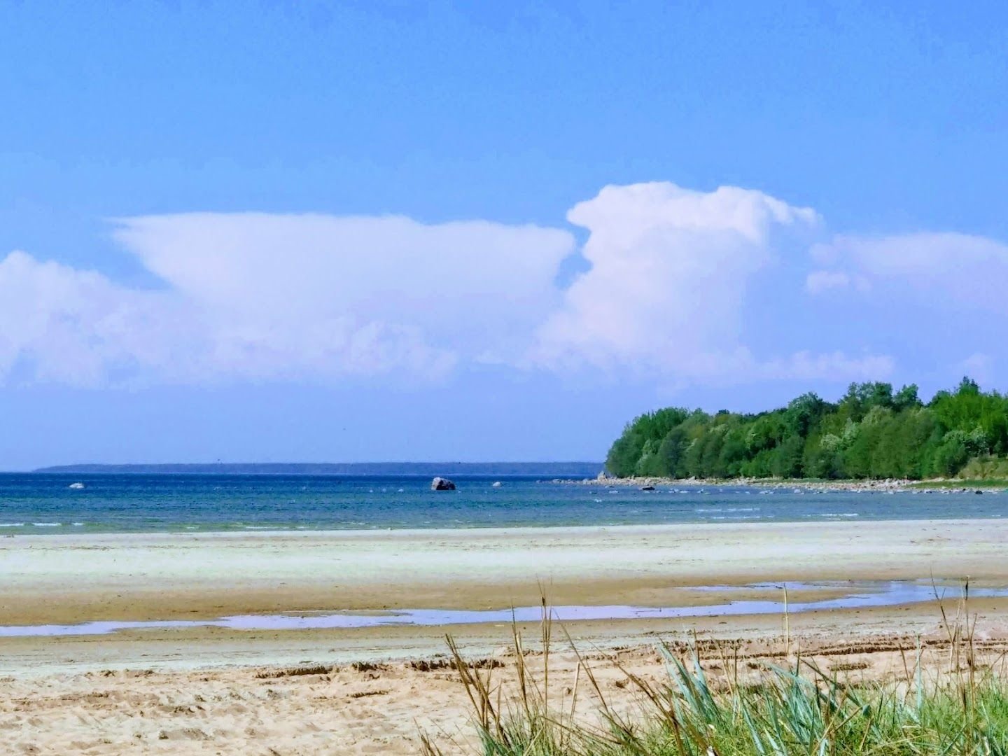 Cover image of Kakumäe Beach