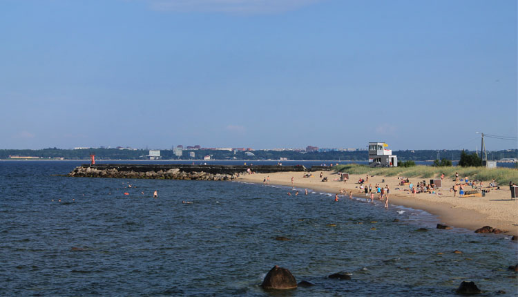 Pikakari rand kaanepilt