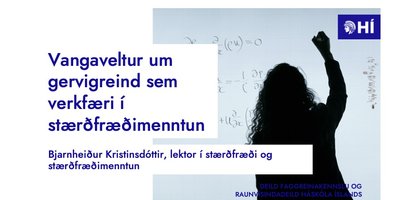 bjarnheidur-opnun-ai-seturs