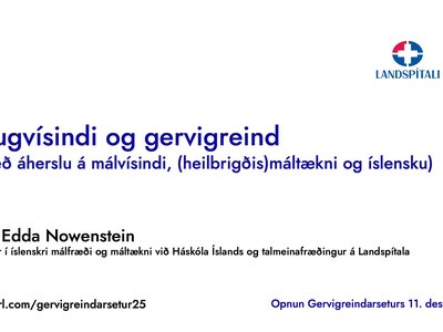 iriseddafyrirlestur